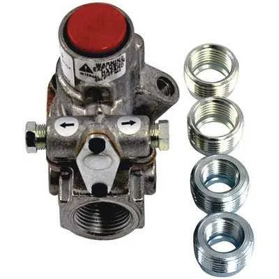 BASO H15CB-2 1/2" AUTO PLT VLV -20-300F INT Gas Products