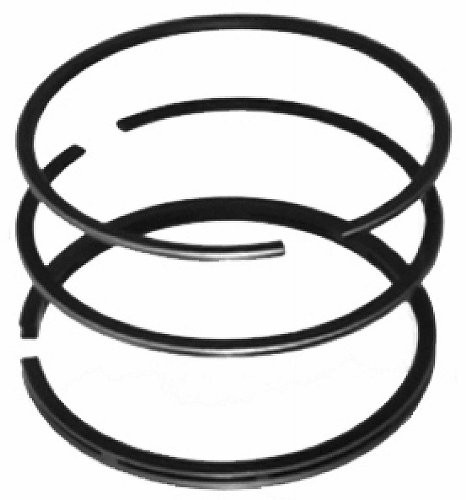 B & S 390486 REG PARTS N/R RING 010