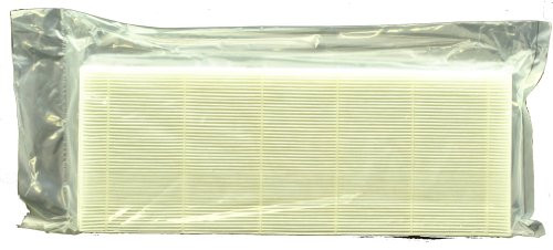 HEAT SURGE, LLC HS-30000062 Filter, Allergen RNG Fits 30000061 Small Frame.