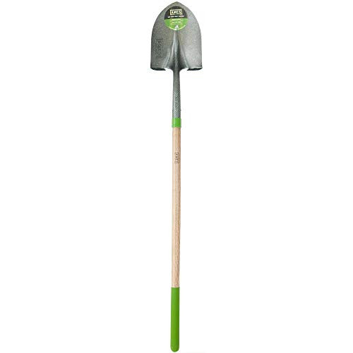 AMES 027-2535600 AS248EG 48-IN ASH HANDLEW/CUSHION END GRIP