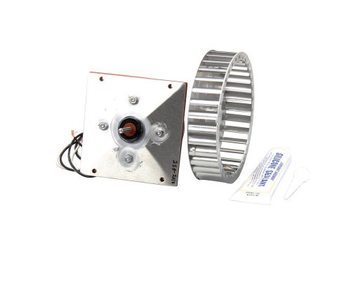 MOTOR - PROOFER
