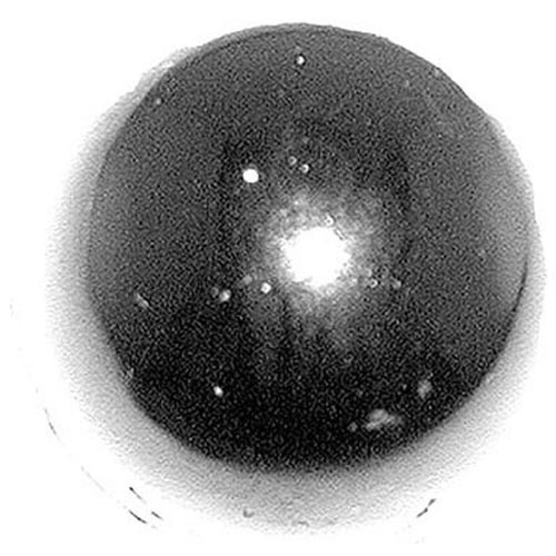 KNOB1-3/4 D for Berkel - Part# 01-402275-00042