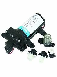 SHURFLO275-4248163E09 PROBLASTER II DELUXE 4.0 24V
