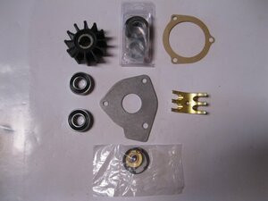 SHERWOOD PUMP762-12665 P REP.KIT FIT G-9901/9902/990