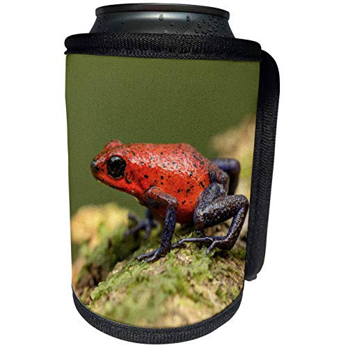 HOFFCO PARTS 206620 CLEANER COVER