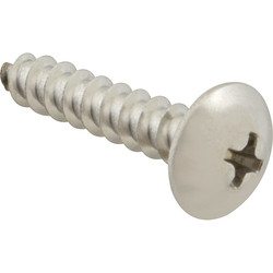 AllPoints 6121016 SCREW; SM/TH/SS 100;