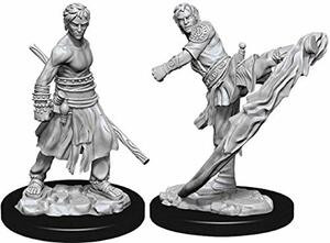 WizKids WZK73838 D&D: NMU: Male Half-Elf Monk W10