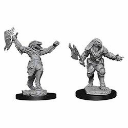 WizKids WZK90001 D&D: NMU: Female Dragonborn Fighter W11