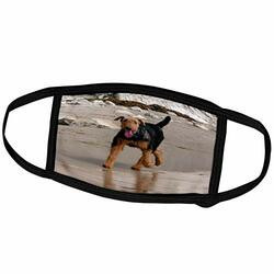 Fulton Boiler 230298 1/2 5# PILOT VALVE