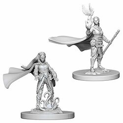 WizKids WZK72642 D&D: NMU: Elf Female Druid W4