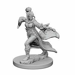WizKids WZK72606 PF DC: Elf Female Sorcerer W1