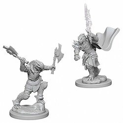 WizKids WZK73199 D&D: NMU: Dragonborn Female Fighter W4