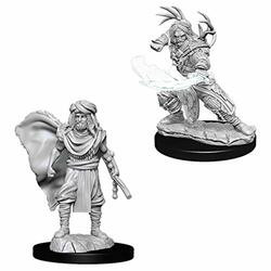 WizKids WZK73390 D&D: NMU: Male Human Druid W6