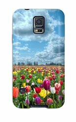 S M ARNOLD INC AR92-512 Counter Duster 8 w/Wooden Handle