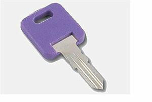 A P PRODUCTS112-013690313 GLOBAL REPL KEY #313 @5