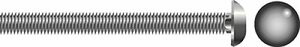 SEACHOICE SC1238 5/16-18X1 CAR BLT SS 25/BG