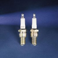 NGK SPARKPLUGS 7548