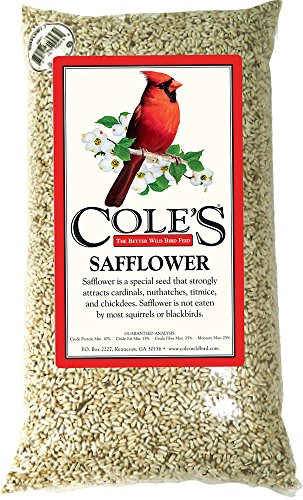 Coles 610063 Cole's Safflower Bird Seed, 20-Pound