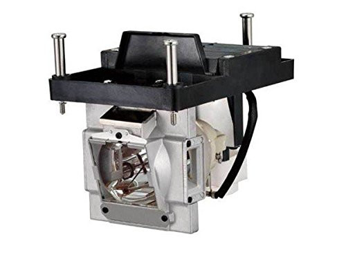 NEC DISPLAY SOLUTIONS NP22LP REPLACEMENT LAMP FOR THE NP-PX700W/PX750U/PX800X, NP-PX700W2/PX750U2/PX800X2 AND