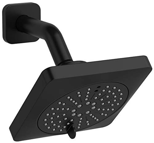 2-jet shower head with arm Riobel 284914