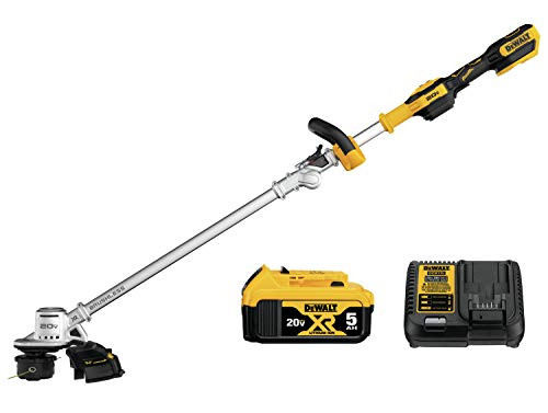 20-VOLT MAX LITHIUM DEWALT DCST922P1