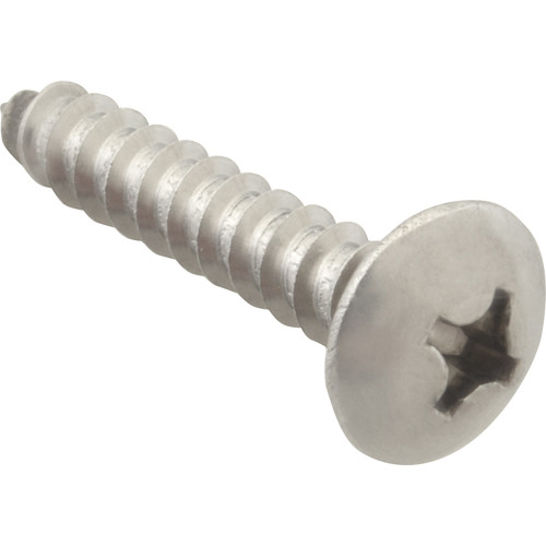 SCREW; SM/TH/SS (100); 6121220