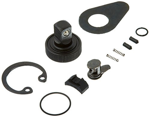 APEX TOOL GROUP GWR81099F RATCHET 1/4 DR  84-Tooth Repair Kit