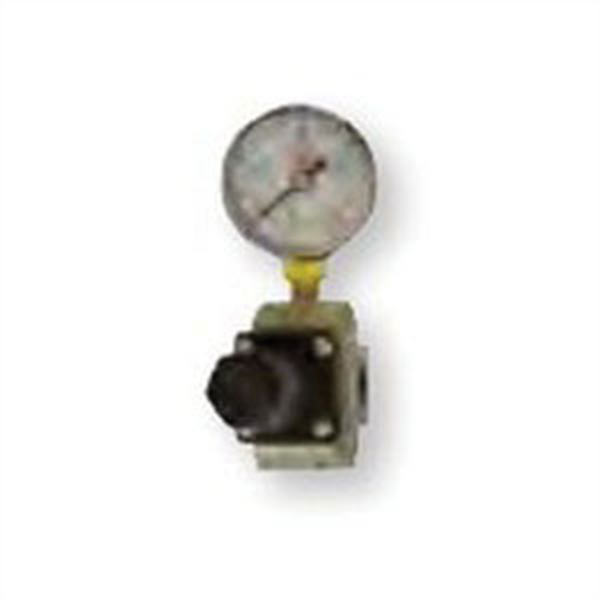 Reading Technologies  RG25 Regulator and Gauge Assembly, 1/4 in