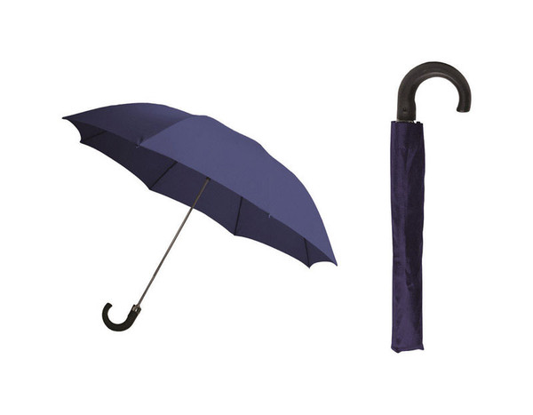 UMBRELLA AUTO BLUE 42