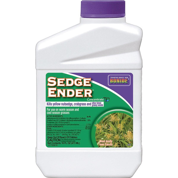 SEDGE ENDER CONC 16OZ