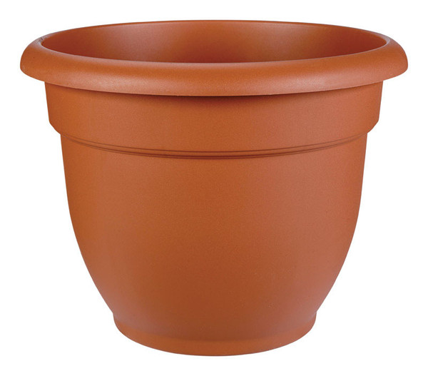 ARIANA POT TRCOT 12