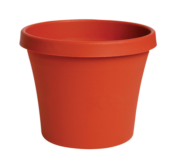 TERRAPOT TRCOT 6