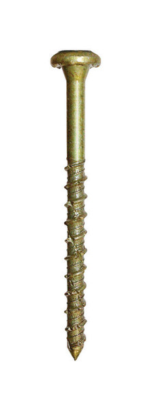 CONC SCREW 19/64X5