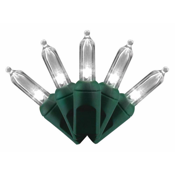 PLAT T5 LIGHTS 50CT PW S