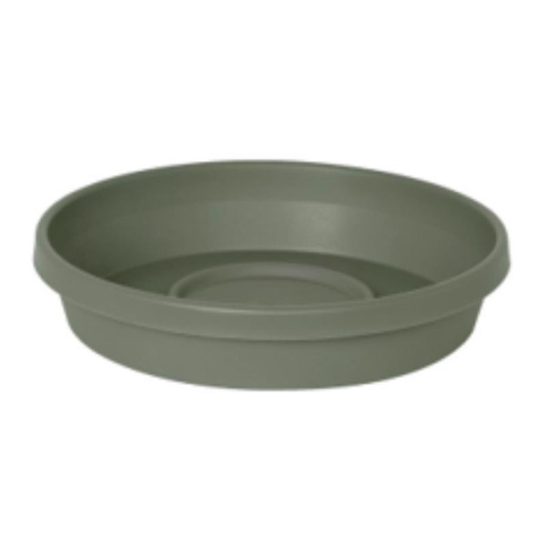 PLNT SCR TRRA GRN 12"