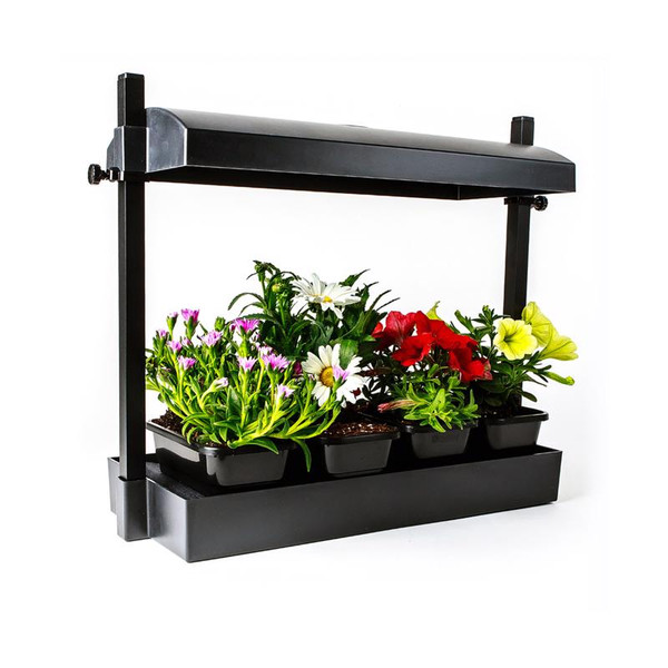 GROW LGHT SYSTEM 12W BLK