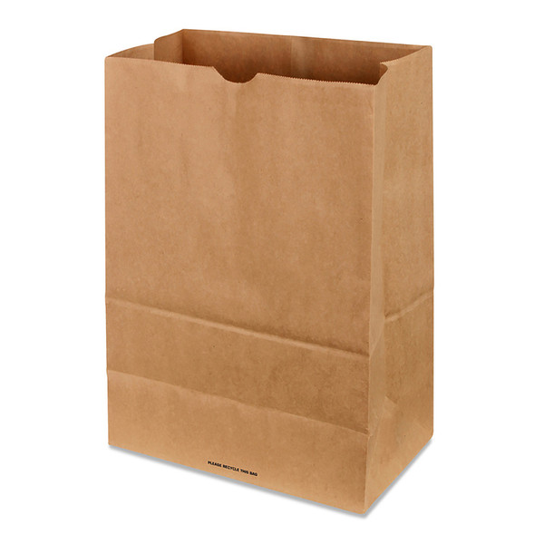 SHOPPING BAG PAPER 500PK