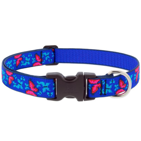 CLR DG SCL BTRFLY 12-20"