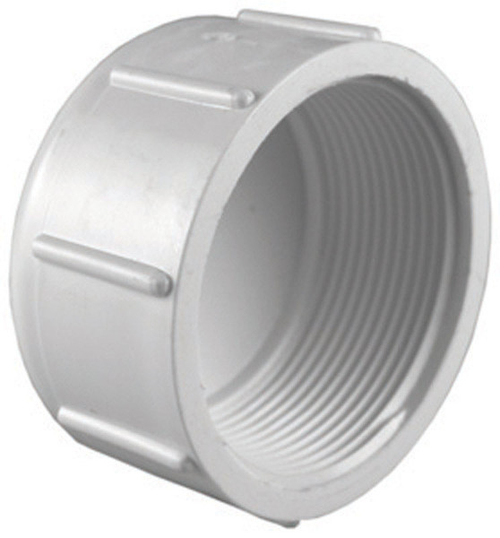 CAP SCH40 PVC 2FPT