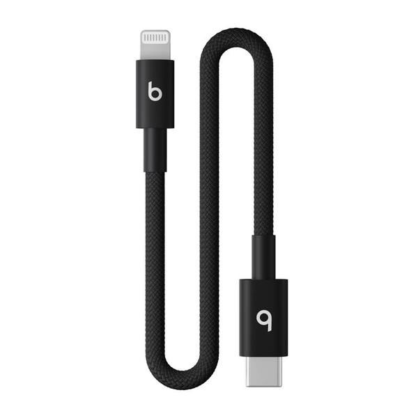 CABLE LGHTN TO USB-C 8"