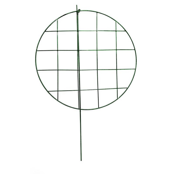 PLNT SPRT MTL GRN 24"