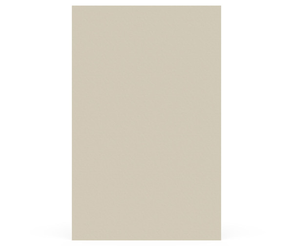Swanstone SMMK-9650-1 50 x 96 Smooth Glue-Up Bathtub Shower Wall Panel Coastal Sands