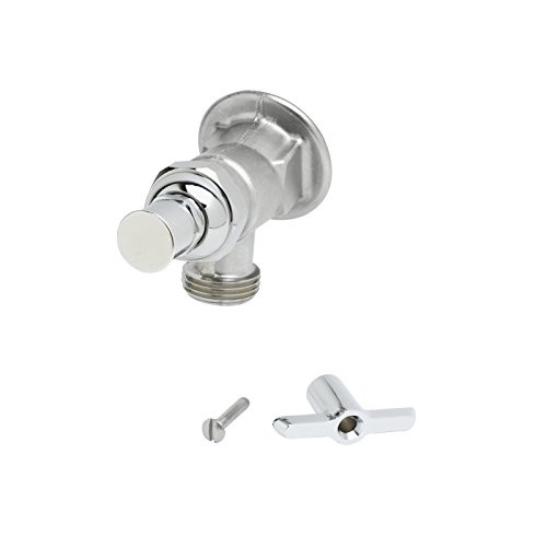 T&S Brass TB0731POL Sill Faucet, 3/4" NPT Female Flanged Inlet, Screwdriver Handle, 3/4" Hose Thread, Polished