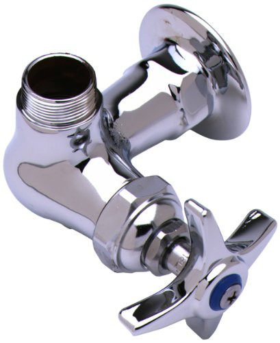 T&S Brass TB0210LN Single Pantry Swivel Base Faucet, Single Hole Base, Wall Mount, Less Nozzle