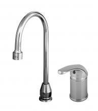 T&S Brass TB2742 Single Lever Side Mount Control, Swivel Gooseneck, Vandal Resistant Aerator