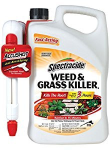 SPECTRUM BRANDS 3552788 SPECTRACIDE® WEED & GRASS KILLER ACCUSHOT™ SPRAYER, 1.33 GALLON