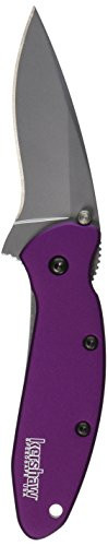 Kershaw KER1620PUR Scallion, Purple (), 2.4” Bead-Blasted 420HC Steel Blade, Anodized Aluminum Handle, SpeedSafe Assisted Opening with Flipper, Liner Lock, Tip-Lock, Single-Position Pocketclip 2.5 OZ