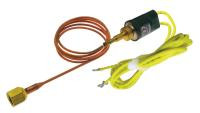 RHEEM 173813 -Ruud 47-100902-02 A/R Low # Limit Sw