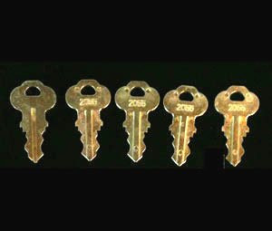 Bradley P15-398 Dispenser Door Key 5/Pk (2055) Bradley 131210