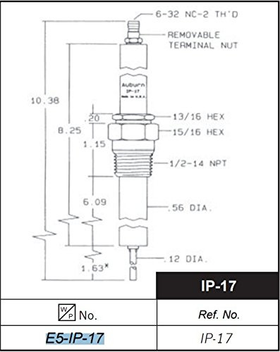 Auburn E5-IP-17 "1/2""NPT IGNITOR"